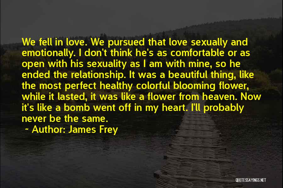 James Frey Quotes: We Fell In Love. We Pursued That Love Sexually And Emotionally. I Don't Think He's As Comfortable Or As Open