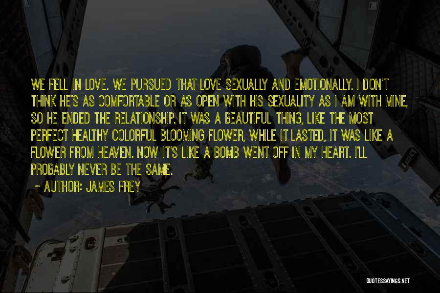 James Frey Quotes: We Fell In Love. We Pursued That Love Sexually And Emotionally. I Don't Think He's As Comfortable Or As Open