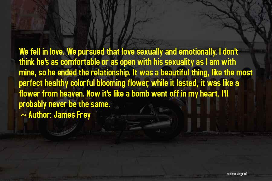 James Frey Quotes: We Fell In Love. We Pursued That Love Sexually And Emotionally. I Don't Think He's As Comfortable Or As Open