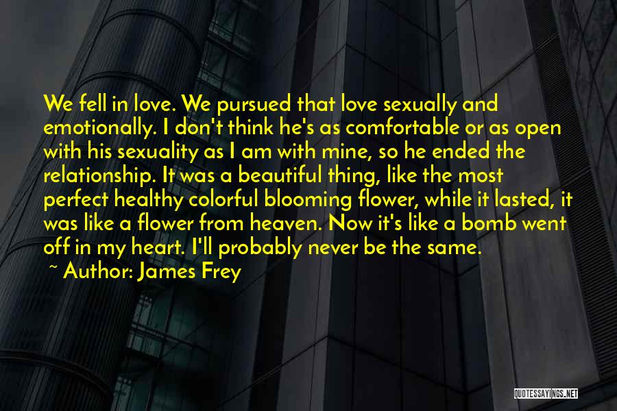 James Frey Quotes: We Fell In Love. We Pursued That Love Sexually And Emotionally. I Don't Think He's As Comfortable Or As Open