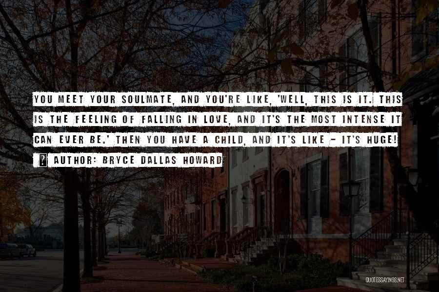 Bryce Dallas Howard Quotes: You Meet Your Soulmate, And You're Like, 'well, This Is It. This Is The Feeling Of Falling In Love, And