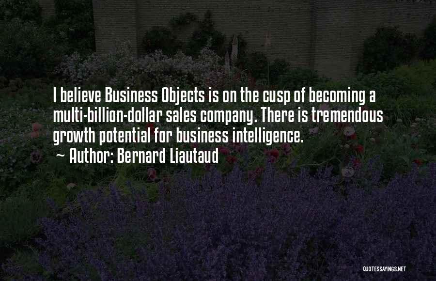 Bernard Liautaud Quotes: I Believe Business Objects Is On The Cusp Of Becoming A Multi-billion-dollar Sales Company. There Is Tremendous Growth Potential For