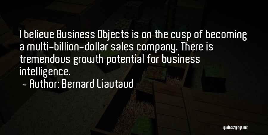 Bernard Liautaud Quotes: I Believe Business Objects Is On The Cusp Of Becoming A Multi-billion-dollar Sales Company. There Is Tremendous Growth Potential For