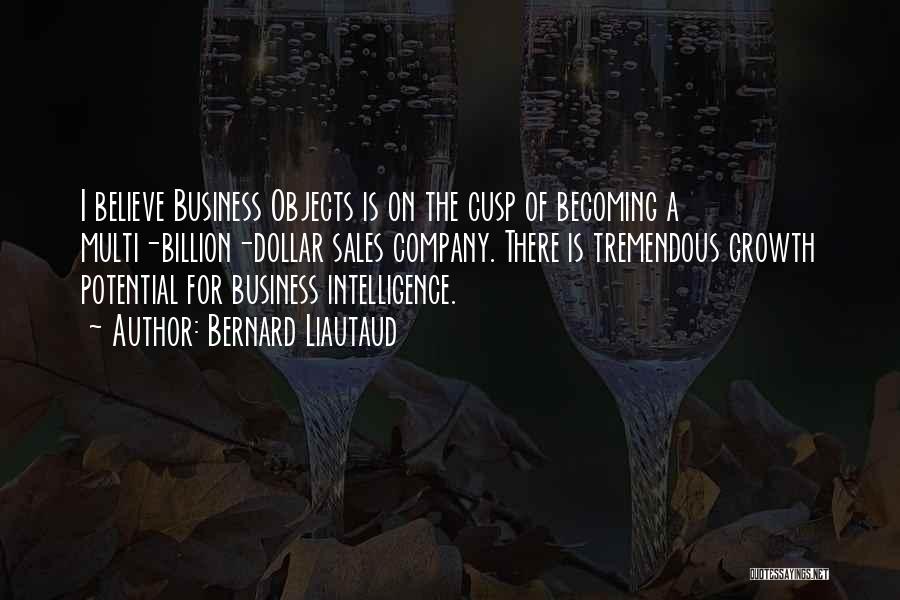 Bernard Liautaud Quotes: I Believe Business Objects Is On The Cusp Of Becoming A Multi-billion-dollar Sales Company. There Is Tremendous Growth Potential For