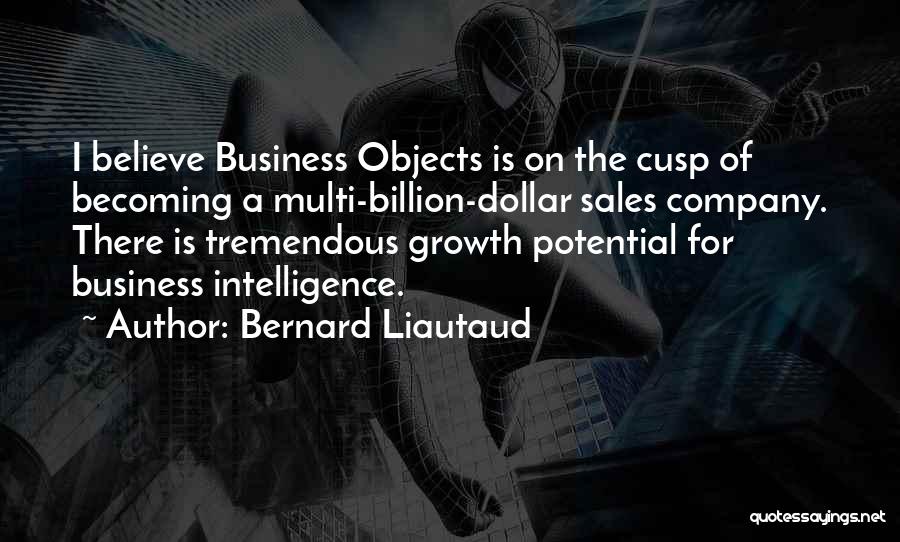 Bernard Liautaud Quotes: I Believe Business Objects Is On The Cusp Of Becoming A Multi-billion-dollar Sales Company. There Is Tremendous Growth Potential For