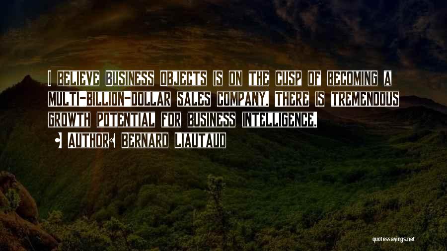 Bernard Liautaud Quotes: I Believe Business Objects Is On The Cusp Of Becoming A Multi-billion-dollar Sales Company. There Is Tremendous Growth Potential For