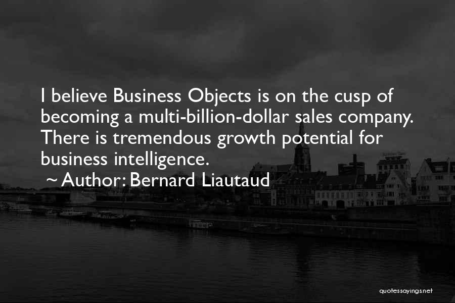 Bernard Liautaud Quotes: I Believe Business Objects Is On The Cusp Of Becoming A Multi-billion-dollar Sales Company. There Is Tremendous Growth Potential For