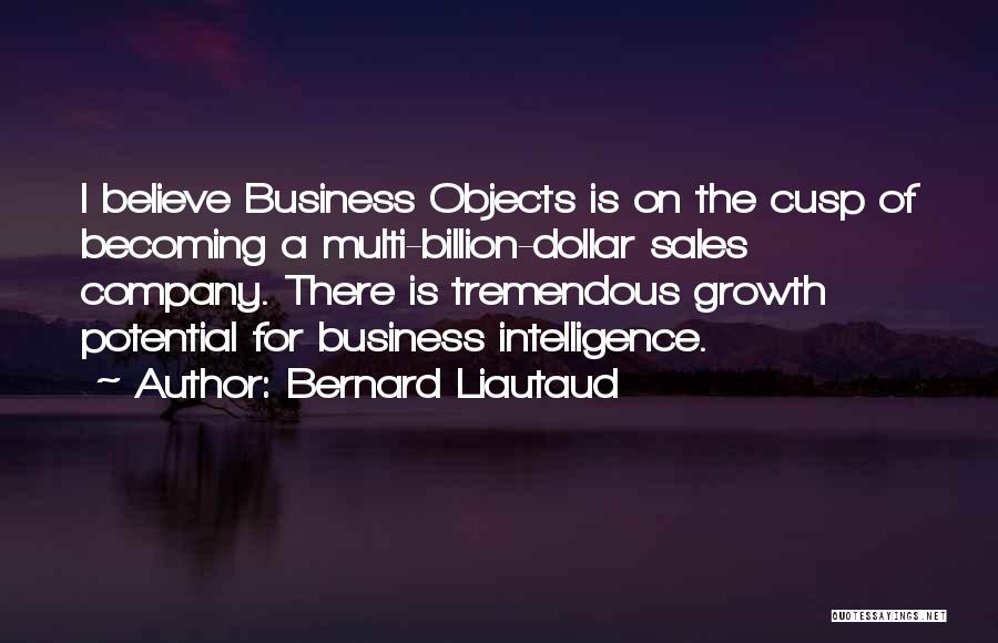 Bernard Liautaud Quotes: I Believe Business Objects Is On The Cusp Of Becoming A Multi-billion-dollar Sales Company. There Is Tremendous Growth Potential For