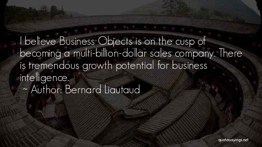 Bernard Liautaud Quotes: I Believe Business Objects Is On The Cusp Of Becoming A Multi-billion-dollar Sales Company. There Is Tremendous Growth Potential For