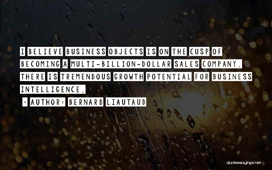 Bernard Liautaud Quotes: I Believe Business Objects Is On The Cusp Of Becoming A Multi-billion-dollar Sales Company. There Is Tremendous Growth Potential For