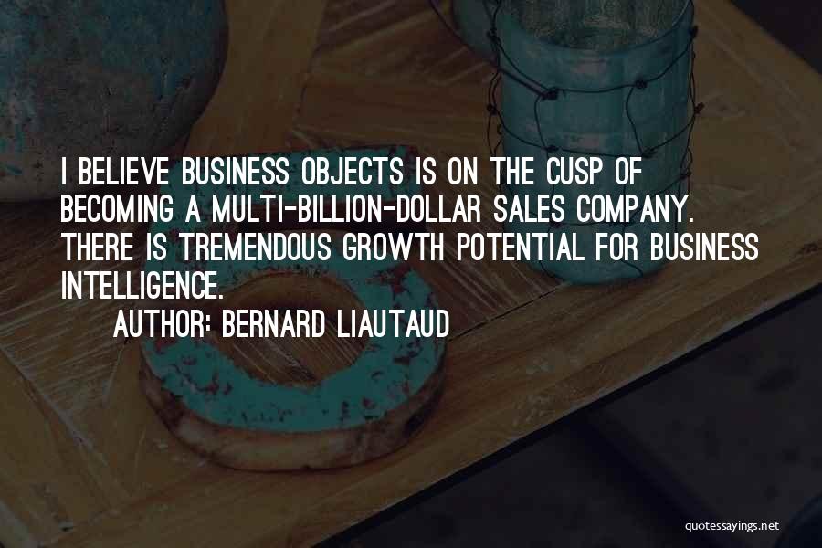 Bernard Liautaud Quotes: I Believe Business Objects Is On The Cusp Of Becoming A Multi-billion-dollar Sales Company. There Is Tremendous Growth Potential For