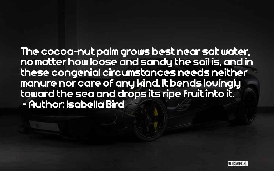 Isabella Bird Quotes: The Cocoa-nut Palm Grows Best Near Salt Water, No Matter How Loose And Sandy The Soil Is, And In These