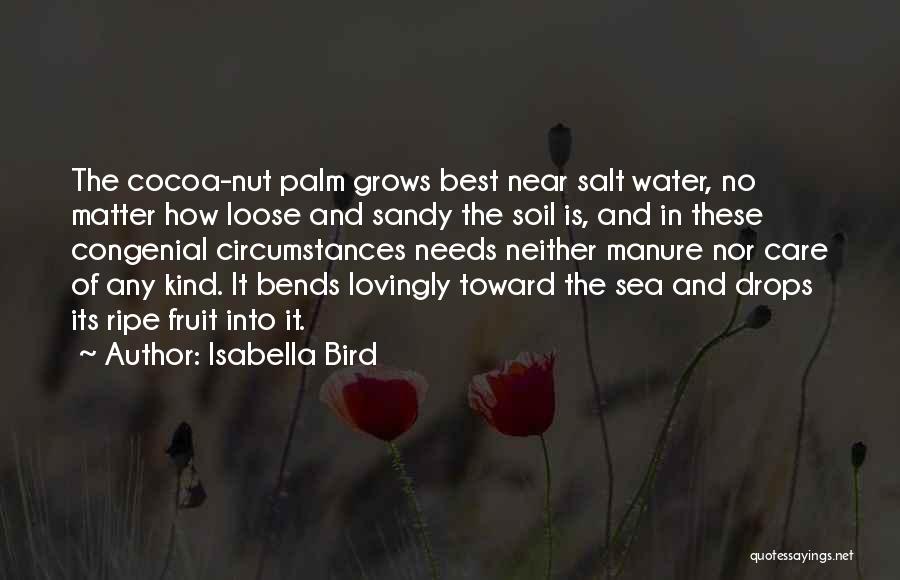 Isabella Bird Quotes: The Cocoa-nut Palm Grows Best Near Salt Water, No Matter How Loose And Sandy The Soil Is, And In These