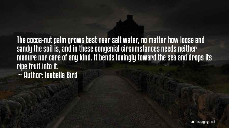 Isabella Bird Quotes: The Cocoa-nut Palm Grows Best Near Salt Water, No Matter How Loose And Sandy The Soil Is, And In These