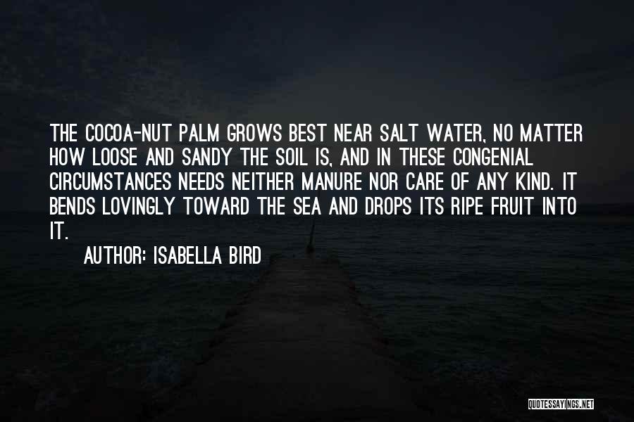 Isabella Bird Quotes: The Cocoa-nut Palm Grows Best Near Salt Water, No Matter How Loose And Sandy The Soil Is, And In These