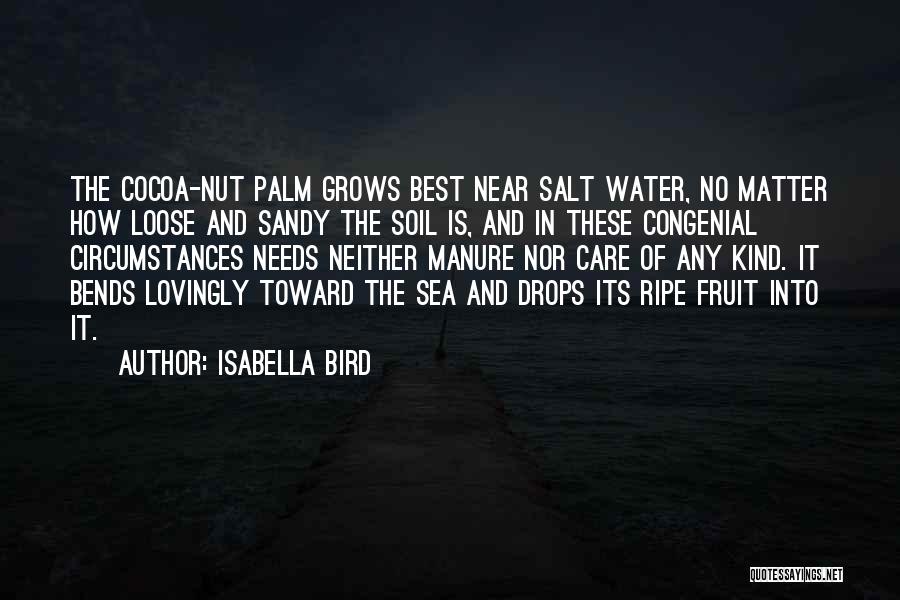 Isabella Bird Quotes: The Cocoa-nut Palm Grows Best Near Salt Water, No Matter How Loose And Sandy The Soil Is, And In These