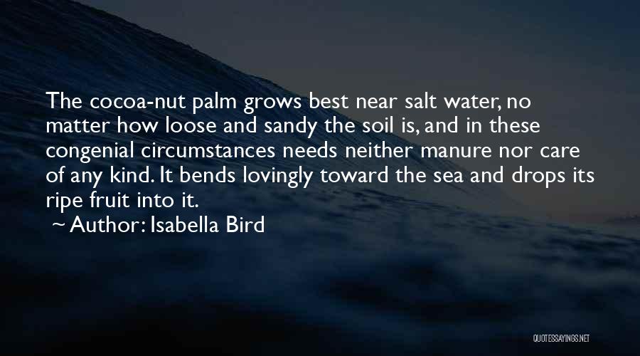 Isabella Bird Quotes: The Cocoa-nut Palm Grows Best Near Salt Water, No Matter How Loose And Sandy The Soil Is, And In These