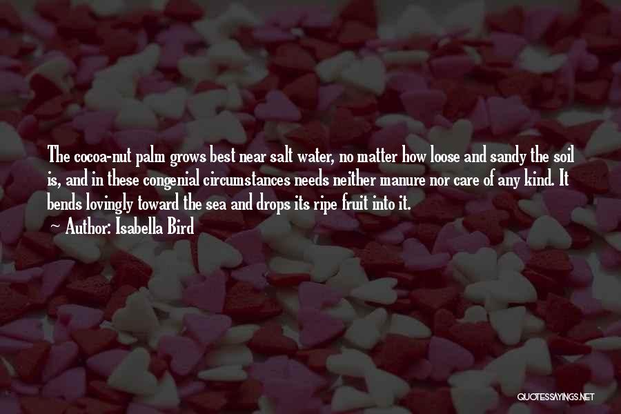 Isabella Bird Quotes: The Cocoa-nut Palm Grows Best Near Salt Water, No Matter How Loose And Sandy The Soil Is, And In These