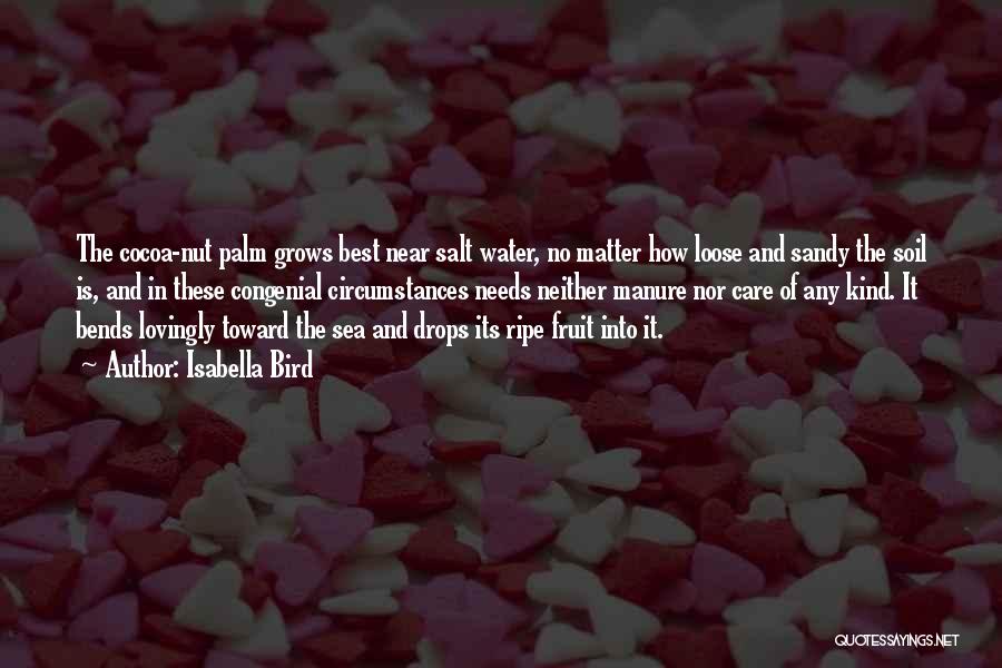 Isabella Bird Quotes: The Cocoa-nut Palm Grows Best Near Salt Water, No Matter How Loose And Sandy The Soil Is, And In These