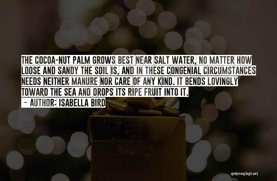 Isabella Bird Quotes: The Cocoa-nut Palm Grows Best Near Salt Water, No Matter How Loose And Sandy The Soil Is, And In These