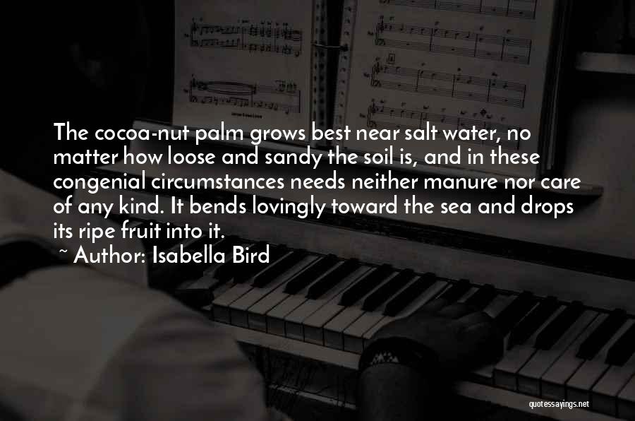 Isabella Bird Quotes: The Cocoa-nut Palm Grows Best Near Salt Water, No Matter How Loose And Sandy The Soil Is, And In These