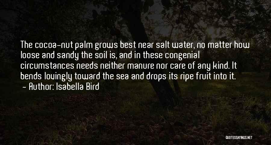 Isabella Bird Quotes: The Cocoa-nut Palm Grows Best Near Salt Water, No Matter How Loose And Sandy The Soil Is, And In These