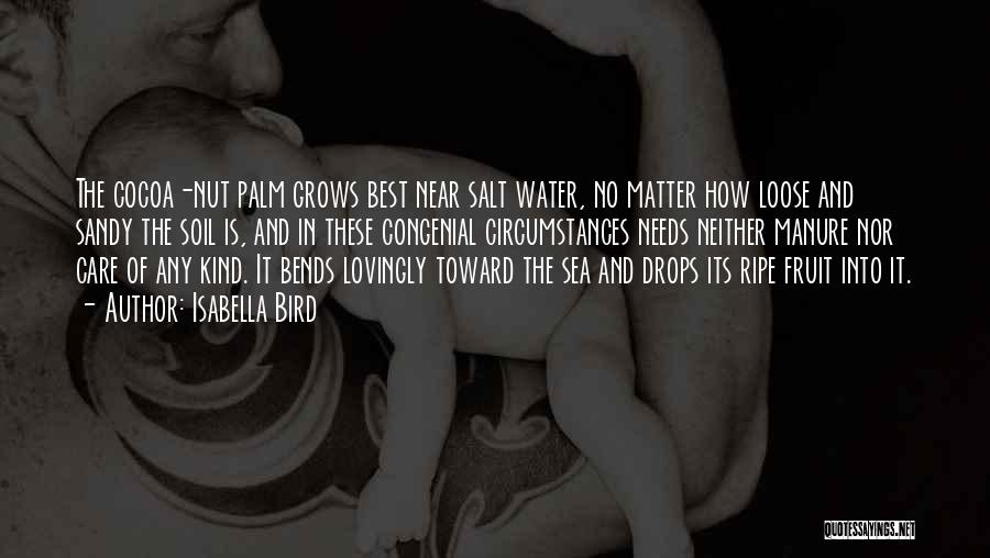 Isabella Bird Quotes: The Cocoa-nut Palm Grows Best Near Salt Water, No Matter How Loose And Sandy The Soil Is, And In These