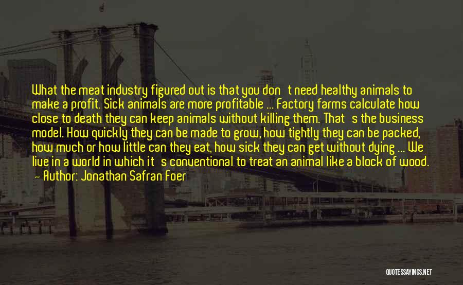 Jonathan Safran Foer Quotes: What The Meat Industry Figured Out Is That You Don't Need Healthy Animals To Make A Profit. Sick Animals Are