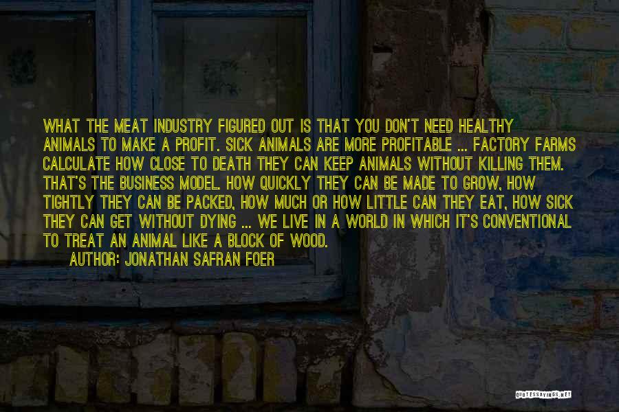 Jonathan Safran Foer Quotes: What The Meat Industry Figured Out Is That You Don't Need Healthy Animals To Make A Profit. Sick Animals Are