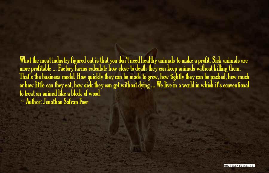 Jonathan Safran Foer Quotes: What The Meat Industry Figured Out Is That You Don't Need Healthy Animals To Make A Profit. Sick Animals Are