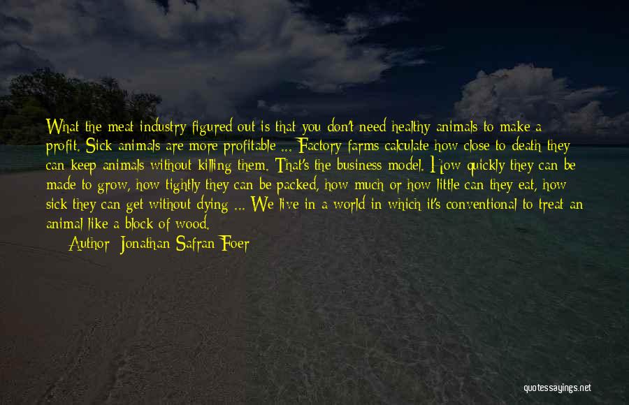 Jonathan Safran Foer Quotes: What The Meat Industry Figured Out Is That You Don't Need Healthy Animals To Make A Profit. Sick Animals Are