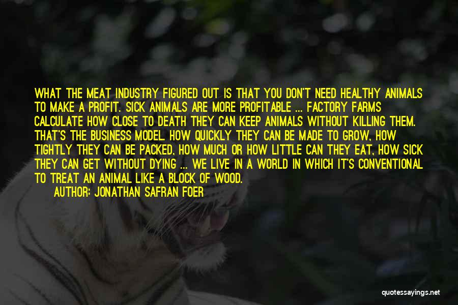 Jonathan Safran Foer Quotes: What The Meat Industry Figured Out Is That You Don't Need Healthy Animals To Make A Profit. Sick Animals Are