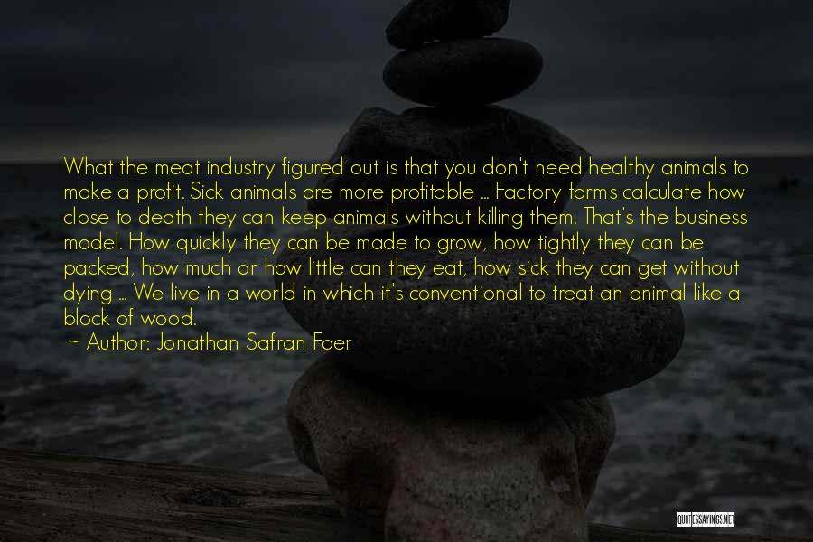 Jonathan Safran Foer Quotes: What The Meat Industry Figured Out Is That You Don't Need Healthy Animals To Make A Profit. Sick Animals Are