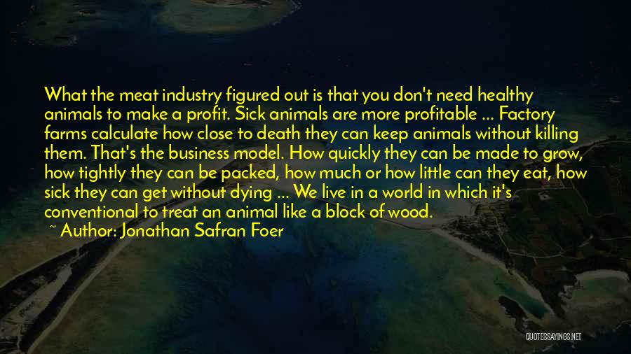 Jonathan Safran Foer Quotes: What The Meat Industry Figured Out Is That You Don't Need Healthy Animals To Make A Profit. Sick Animals Are