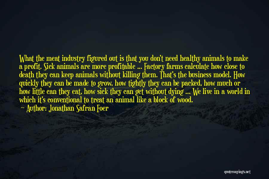 Jonathan Safran Foer Quotes: What The Meat Industry Figured Out Is That You Don't Need Healthy Animals To Make A Profit. Sick Animals Are