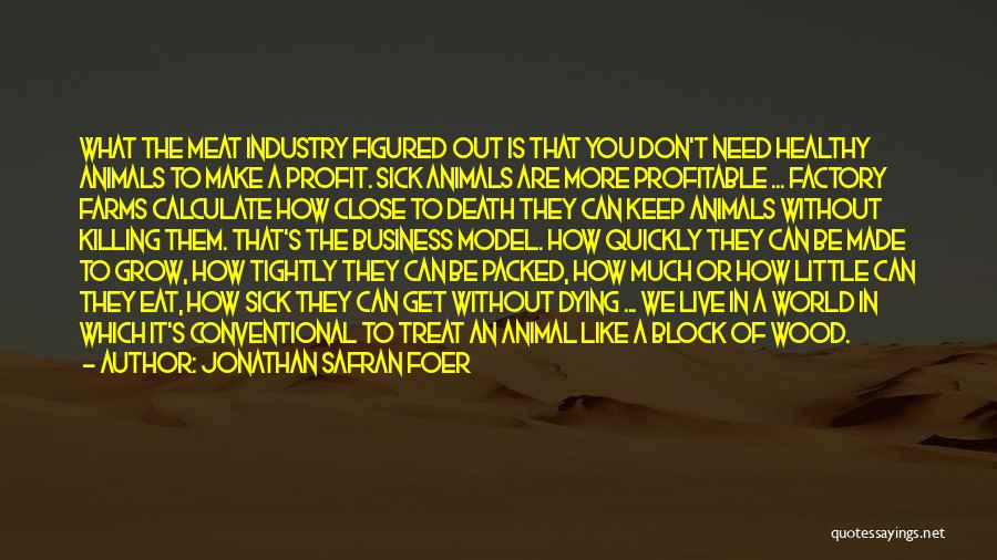 Jonathan Safran Foer Quotes: What The Meat Industry Figured Out Is That You Don't Need Healthy Animals To Make A Profit. Sick Animals Are