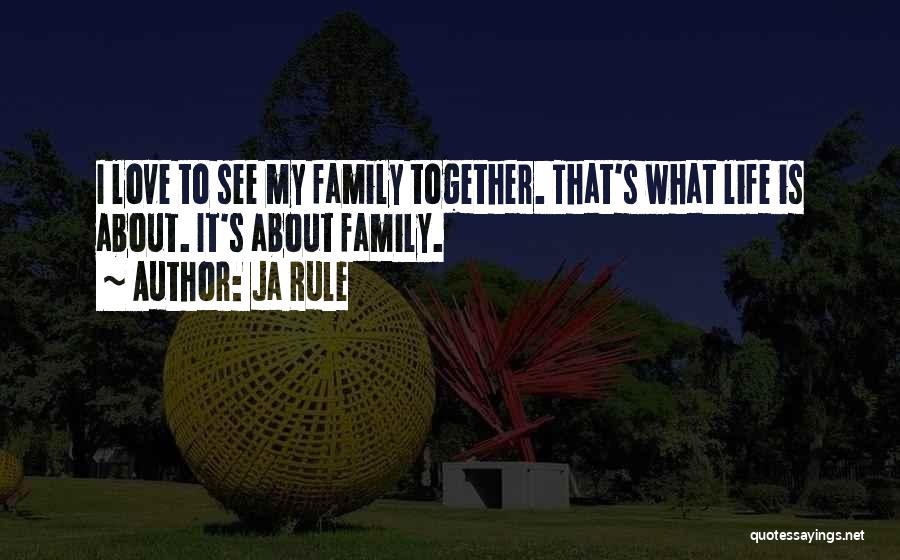 Ja Rule Quotes: I Love To See My Family Together. That's What Life Is About. It's About Family.