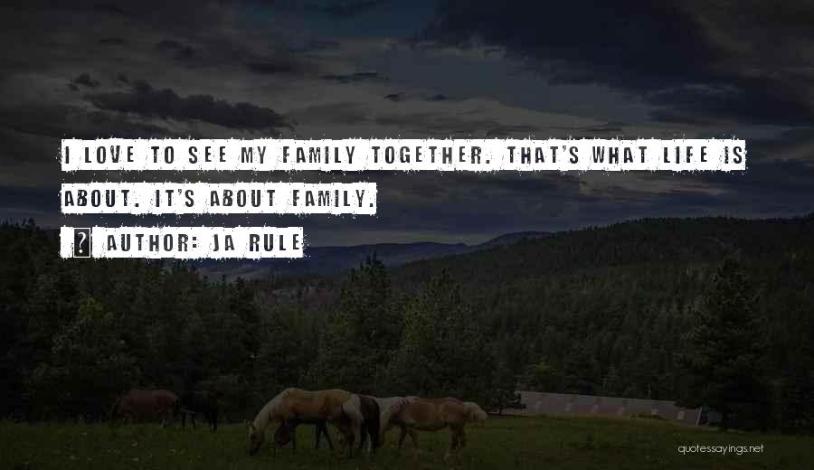 Ja Rule Quotes: I Love To See My Family Together. That's What Life Is About. It's About Family.