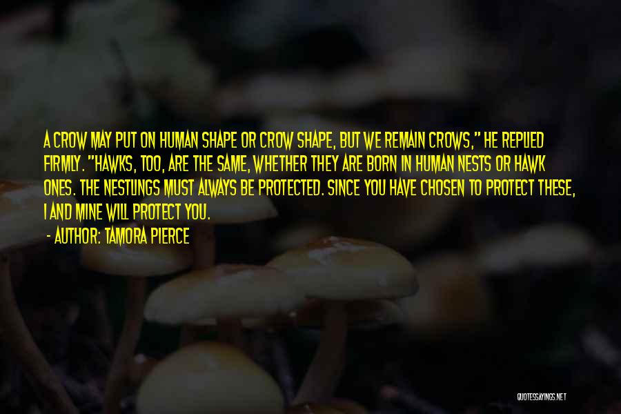 Tamora Pierce Quotes: A Crow May Put On Human Shape Or Crow Shape, But We Remain Crows, He Replied Firmly. Hawks, Too, Are