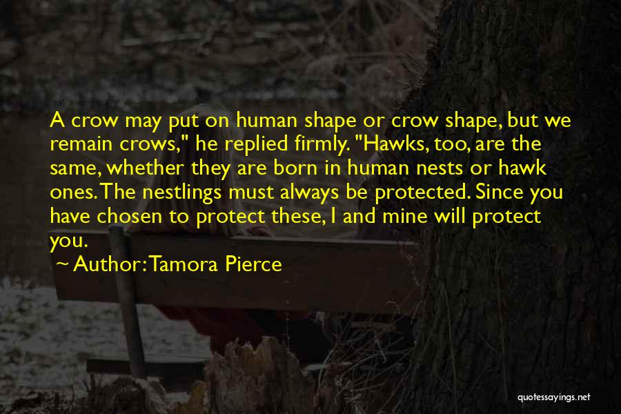 Tamora Pierce Quotes: A Crow May Put On Human Shape Or Crow Shape, But We Remain Crows, He Replied Firmly. Hawks, Too, Are