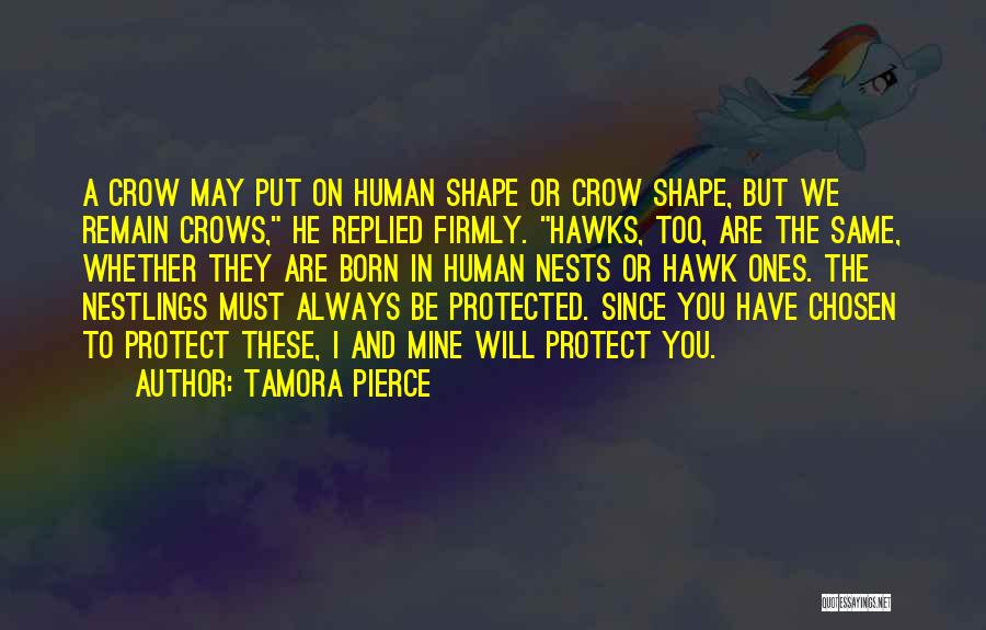 Tamora Pierce Quotes: A Crow May Put On Human Shape Or Crow Shape, But We Remain Crows, He Replied Firmly. Hawks, Too, Are