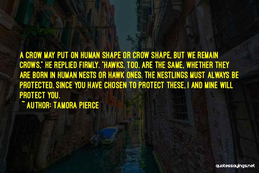 Tamora Pierce Quotes: A Crow May Put On Human Shape Or Crow Shape, But We Remain Crows, He Replied Firmly. Hawks, Too, Are