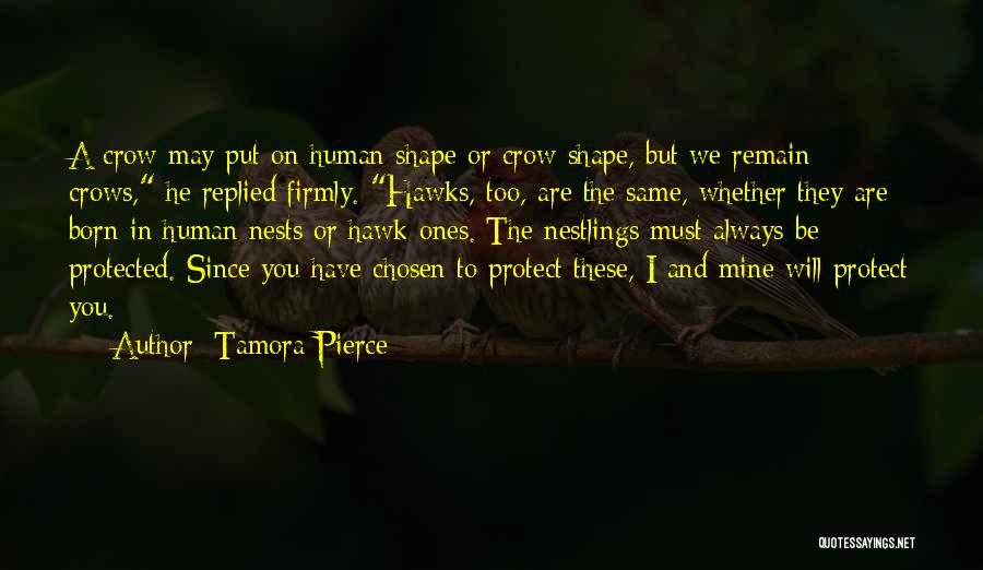 Tamora Pierce Quotes: A Crow May Put On Human Shape Or Crow Shape, But We Remain Crows, He Replied Firmly. Hawks, Too, Are