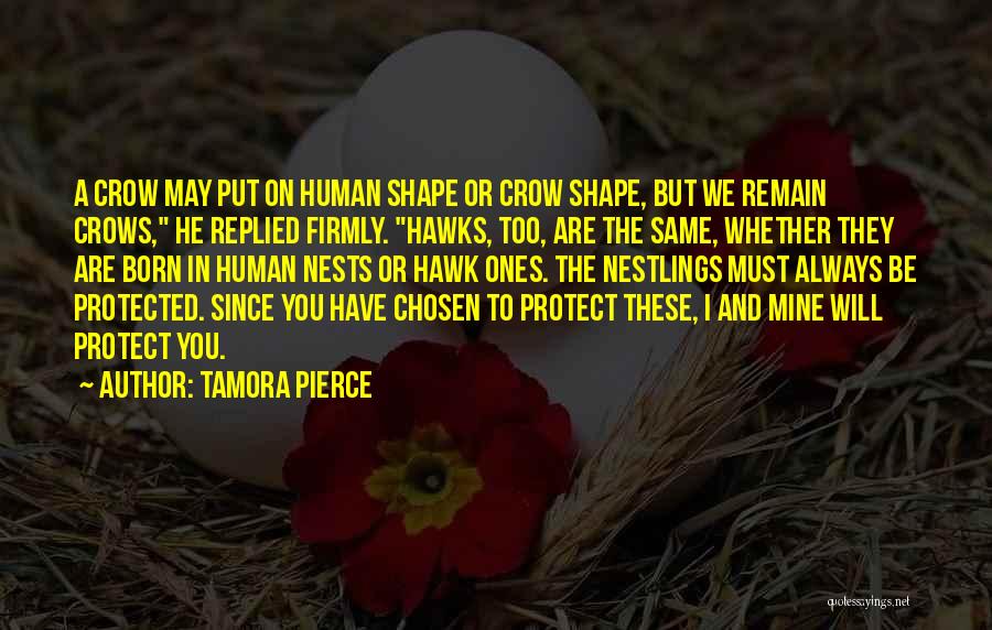 Tamora Pierce Quotes: A Crow May Put On Human Shape Or Crow Shape, But We Remain Crows, He Replied Firmly. Hawks, Too, Are