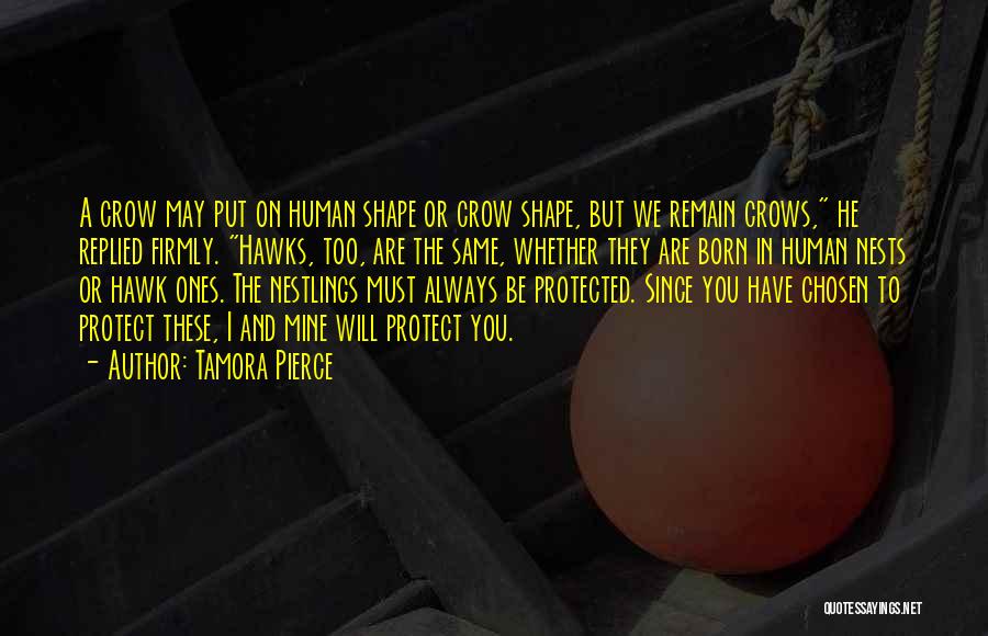 Tamora Pierce Quotes: A Crow May Put On Human Shape Or Crow Shape, But We Remain Crows, He Replied Firmly. Hawks, Too, Are