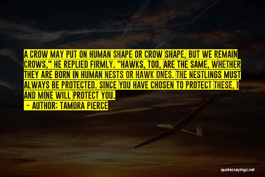 Tamora Pierce Quotes: A Crow May Put On Human Shape Or Crow Shape, But We Remain Crows, He Replied Firmly. Hawks, Too, Are