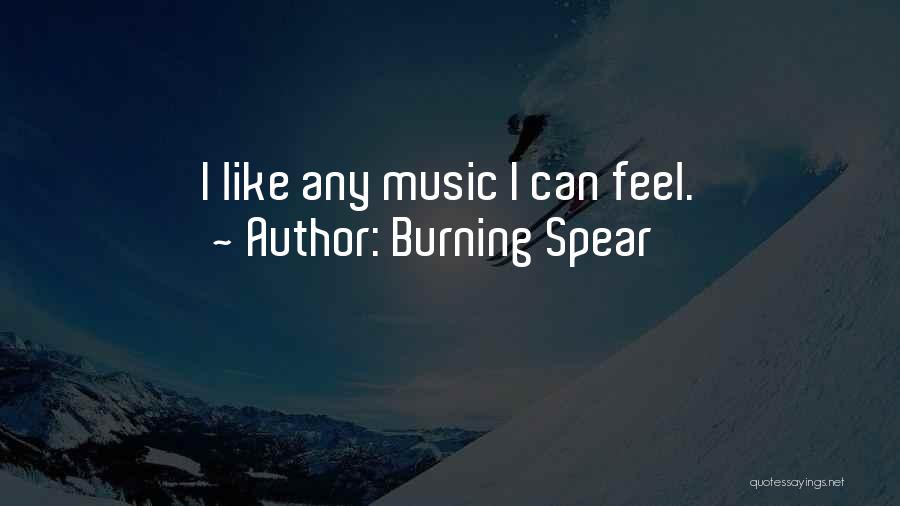 Burning Spear Quotes: I Like Any Music I Can Feel.