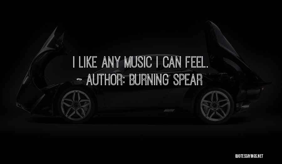 Burning Spear Quotes: I Like Any Music I Can Feel.