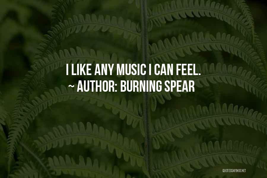 Burning Spear Quotes: I Like Any Music I Can Feel.