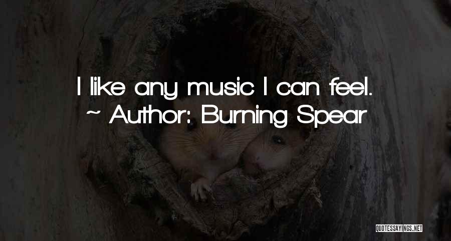 Burning Spear Quotes: I Like Any Music I Can Feel.